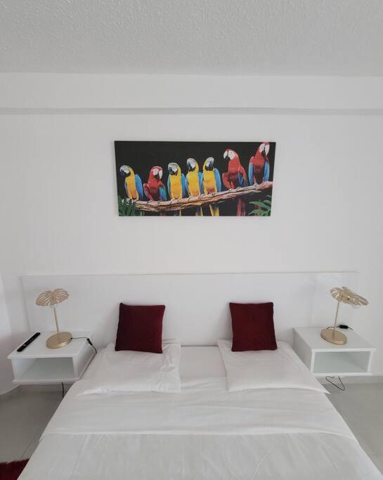 קאיין Hello Guyane, Suite Collection מראה חיצוני תמונה