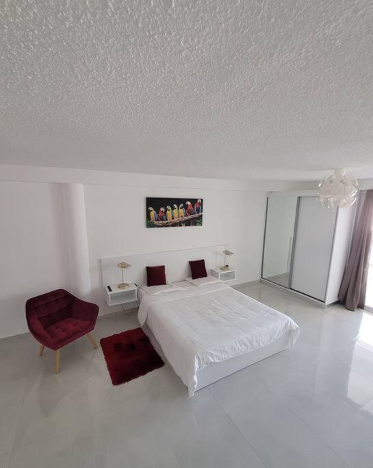 קאיין Hello Guyane, Suite Collection מראה חיצוני תמונה